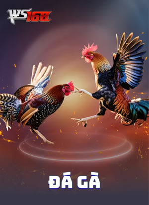 Hũ Vàng Tỷ Lộc